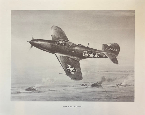 16"x20" WWII Warbird Prints