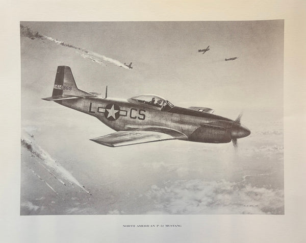 16"x20" WWII Warbird Prints