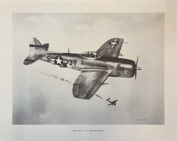 16"x20" WWII Warbird Prints